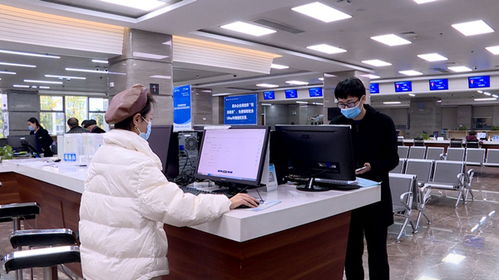 云陽探索'一張網'信用全程監管模式，助力信息咨詢業規范發展