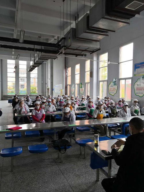 筑牢校園食品安全防線 射洪市經(jīng)開區(qū)市場(chǎng)監(jiān)管所深入綠然國(guó)際學(xué)校開展專項(xiàng)培訓(xùn)